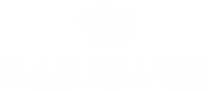 Narisawa