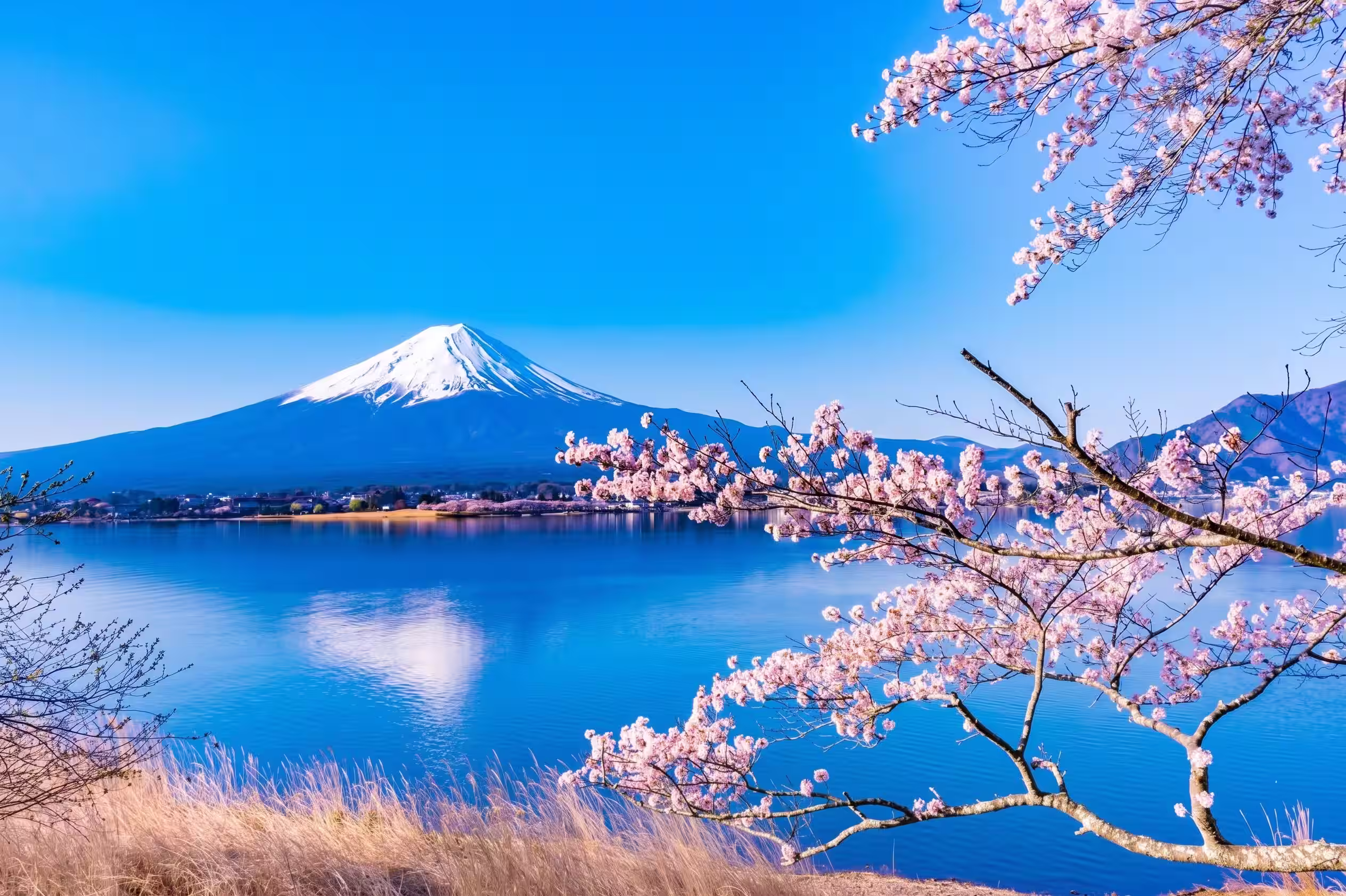 Monte Fuji y lago Kawaguchiko en Japón.