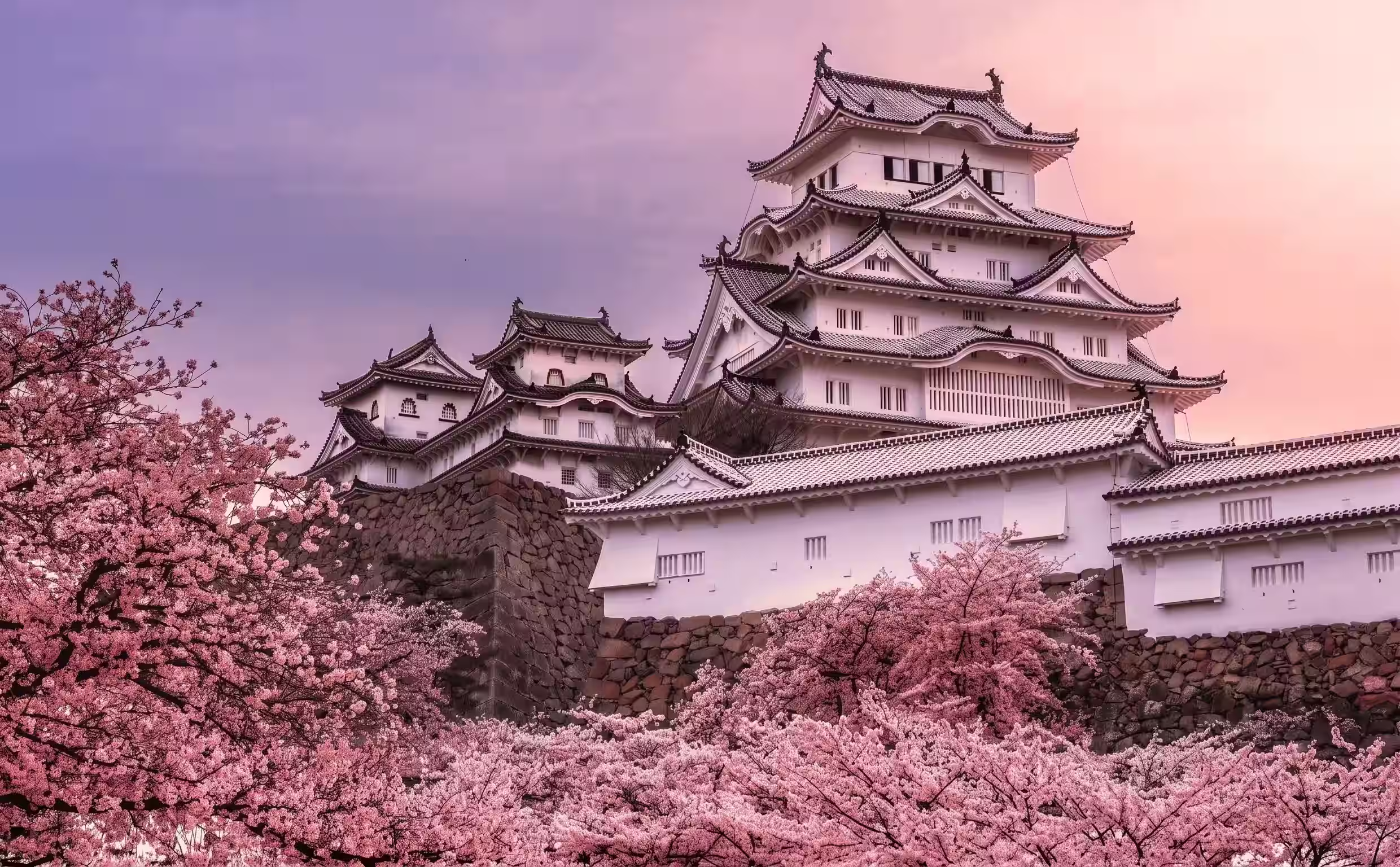 Castillo de Himeji durante el trayecto hacia Hiroshima.